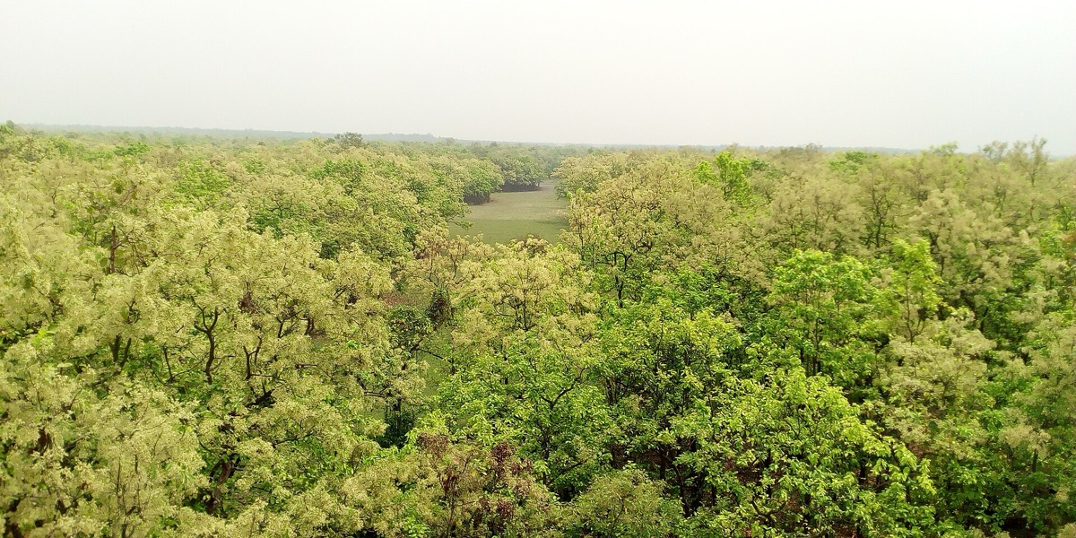Gazipur