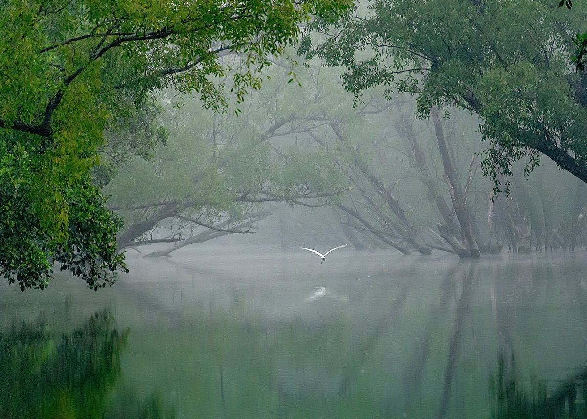 Sundarbans